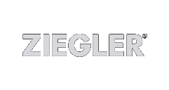 06_Ziegler