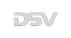 08_DSV